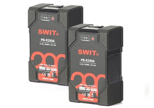 Swit Gold-Mount 2'li Batarya